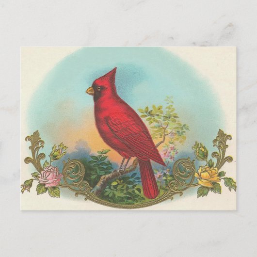 Roter Vogel Postkarte (Vorderseite)