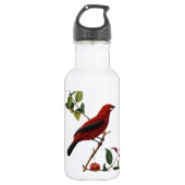Roter Vogel Trinkflasche (Vorderseite)