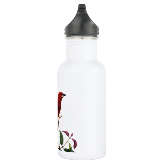Roter Vogel Trinkflasche (Rechts)