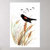 Roter Vogelgezwitscher - Vogelsammlung Poster (Vorne)