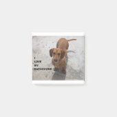 roter voller Liebe w der Dackel pic Post-it Klebezettel (Vorderseite)