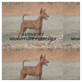 roter voller Liebe w des minimalen Buttons pic Stoff (Nahaufnahme)