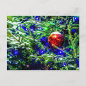 Roter Weihnachtsball, Grüner Spruce-Baum Postkarte (Vorderseite)