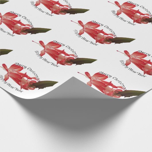 Roter Weihnachtskaktus Foto mit Gruß Geschenkpapier (Ecke)