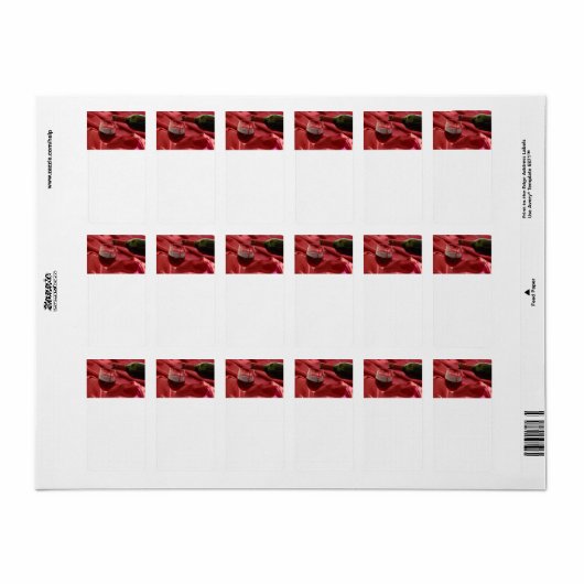 Roter Wein Adressaufkleber (Vorne)