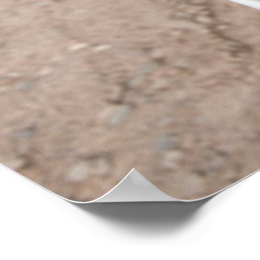 Roter Wein im Weingarten Poster (Ecke)