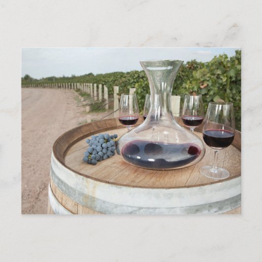 Roter Wein im Weingarten Postkarte (Vorderseite)