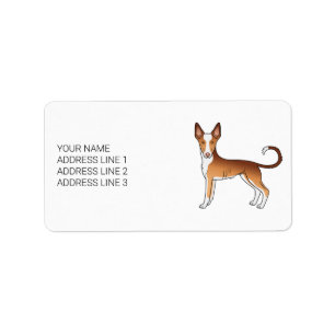 Roter & Weißer Ibizan Hound mit glattem Fell Hund  Adressaufkleber