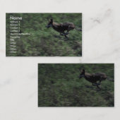 Roter Wolf (Laufen) Visitenkarte (Vorne/Hinten)