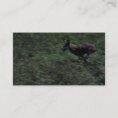 Roter Wolf (Laufen) Visitenkarte (Rückseite)