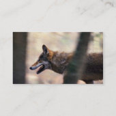 Roter Wolf Visitenkarte (Rückseite)
