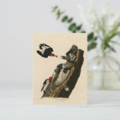 Roter Woodpecker - Audubons Vögel von Amerika Postkarte (Stehend Vorderseite)
