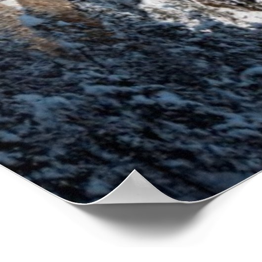 Roter Zug Pine Snow Covered Mountains Schweiz Poster (Ecke)