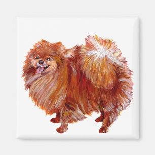 Roter Zwergspitz Magnet