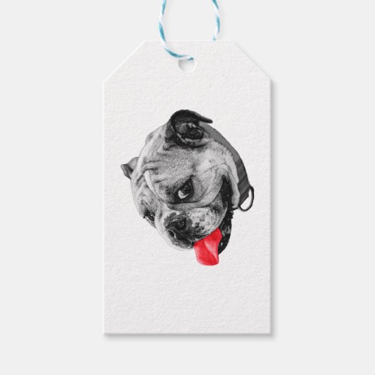 Rotes Akzent-Tag Geschenkanhänger (Vorderseite)