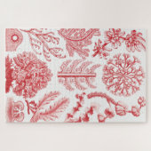 Rotes Alga Meer, Florideae Rotalgen von Ernst Haec Puzzle (Horizontal)