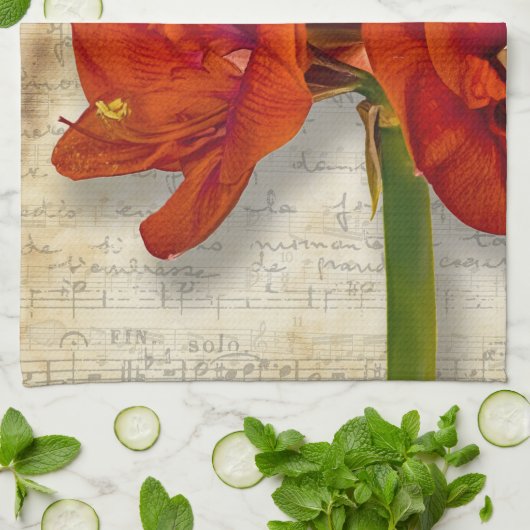 Rotes Amaryllis-Geschirrtuch Geschirrtuch (Gefaltet)