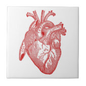 Rotes anatomisches Herz Fliese (Vorderseite)
