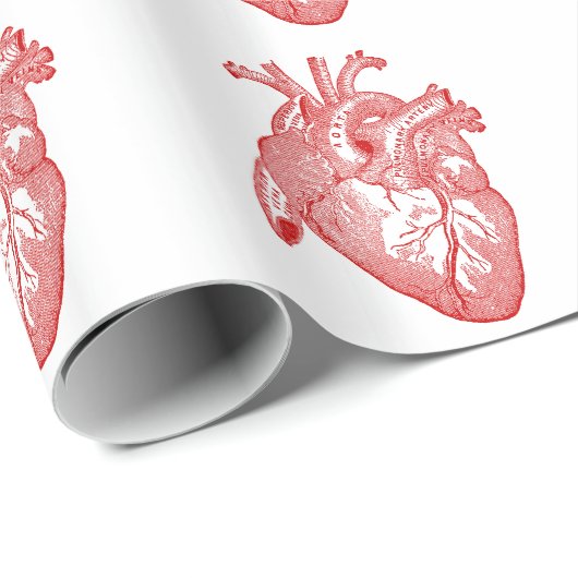 Rotes anatomisches Herz Geschenkpapier (Rolleneckpunkt)