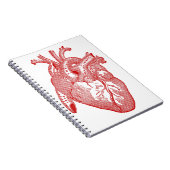Rotes anatomisches Herz Notizblock (Rechte Seite)