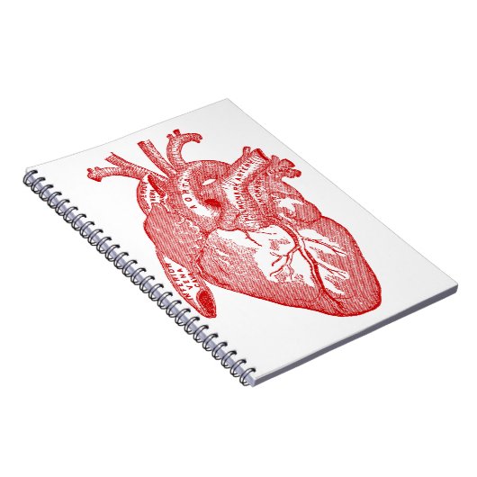 Rotes anatomisches Herz Notizblock (Rechte Seite)