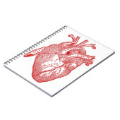 Rotes anatomisches Herz Notizblock (Linke Seite)
