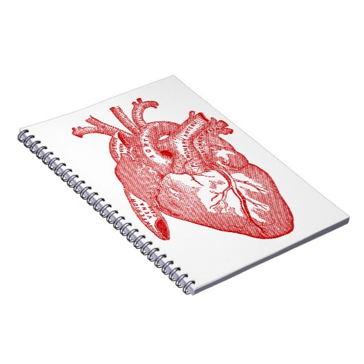 Rotes anatomisches Herz Notizblock (Rechte Seite)