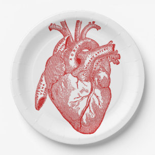 Rotes anatomisches Herz Pappteller