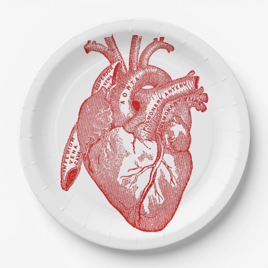 Rotes anatomisches Herz Pappteller (Vorderseite)