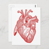 Rotes anatomisches Herz Postkarte (Vorne/Hinten)