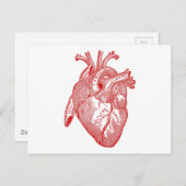 Rotes anatomisches Herz Postkarte (Vorne/Hinten)
