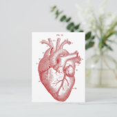 Rotes anatomisches Herz Postkarte (Stehend Vorderseite)