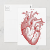Rotes anatomisches Herz Postkarte (Vorne/Hinten)