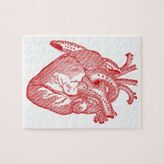 Rotes anatomisches Herz Puzzle (Horizontal)