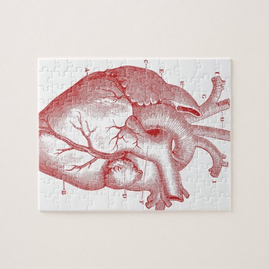 Rotes anatomisches Herz Puzzle (Horizontal)