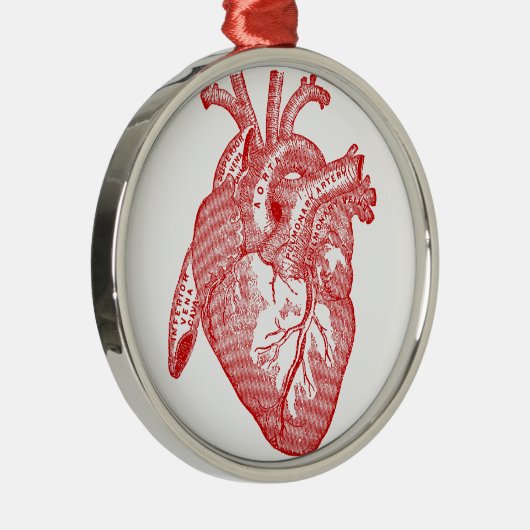 Rotes anatomisches Herz Silbernes Ornament (Rechts)