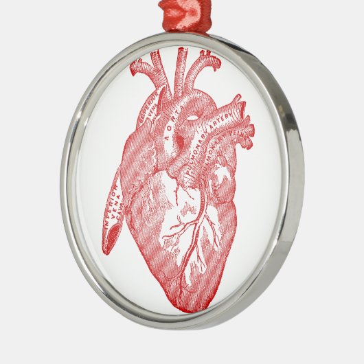 Rotes anatomisches Herz Silbernes Ornament (Links)