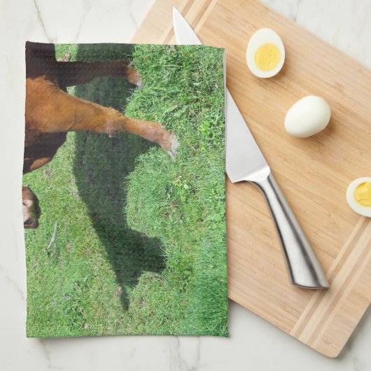 Rotes Angus Geschirrtuch (Viertel Falte)