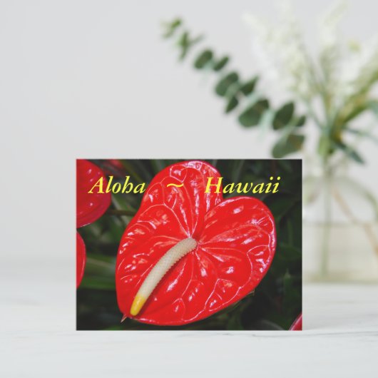 Rotes Anthurium-Blume Postkarte (Stehend Vorderseite)