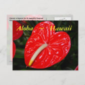 Rotes Anthurium-Blume Postkarte (Vorne/Hinten)