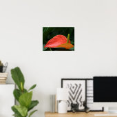 Rotes Anthurium Pflanze gegen Folios Poster (Heimbüro)
