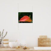 Rotes Anthurium Pflanze gegen Folios Poster (Küche)