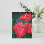 Rotes Anthurium - tropische Blume Postkarte (Stehend Vorderseite)