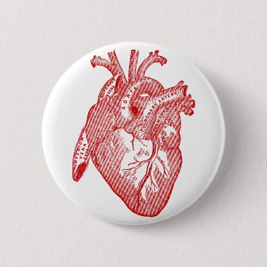Rotes antikes anatomisches Herz Button (Vorderseite)