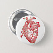 Rotes antikes anatomisches Herz Button (Vorne & Hinten)