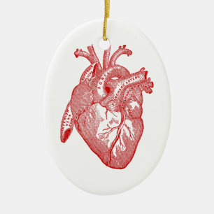 Rotes antikes anatomisches Herz Keramikornament