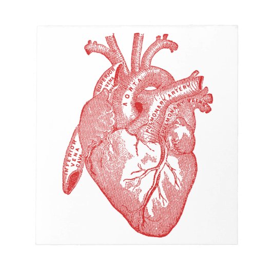 Rotes antikes anatomisches Herz Notizblock (Vorderseite)
