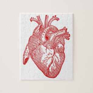 Rotes antikes anatomisches Herz Puzzle