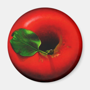 . Rotes Apple Magnet