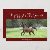 Rotes Arabian Pferd 1 Foto zu Weihnachten im Bauer (Vorne/Hinten)